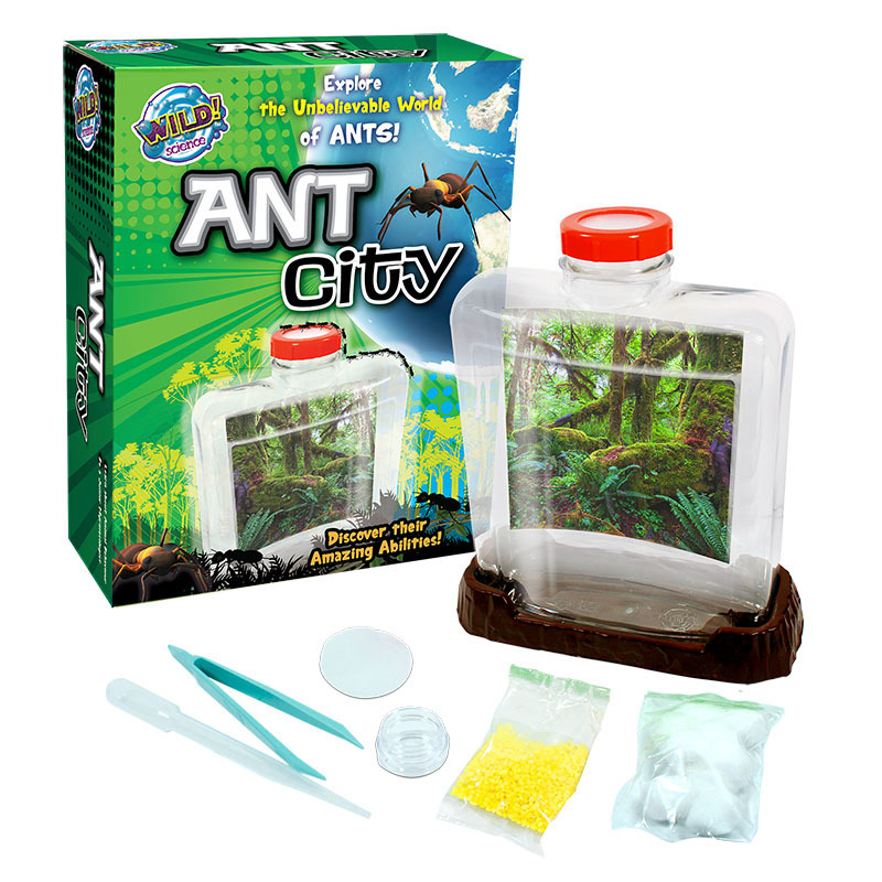 Ant city. Ant Palace Room ecology of Ants Toys инструкция. Стартовый комплект Wildtrail. City of Ant book.