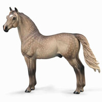 Collecta - Morgan Stallion - Silver Grulla 88979