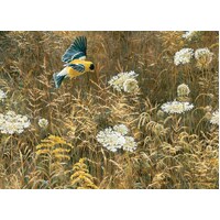 Cobble Hill - Queen Anne's Lace & Goldfinch Puzzle 500pc