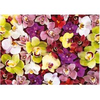 Educa - Orchid Collage Puzzle 1000pc