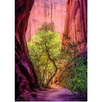 Heye - Power of Nature, Singing Canyon Puzzle 1000pc