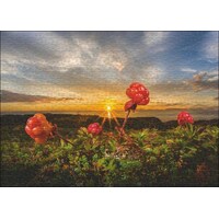 Heye - Von Humboldt, Cloudberries Puzzle 1000pc