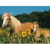 Ravensburger - Happy Horses Puzzle 200pc