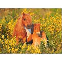 Ravensburger - Shetland Ponies Puzzle 100pc