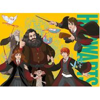 Ravensburger - Harry Potter and other Wizards Puzzle 100pc