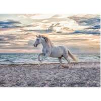 Ravensburger - Evening Gallop Puzzle 500pc