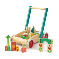 Tender Leaf - Baby Block Walker