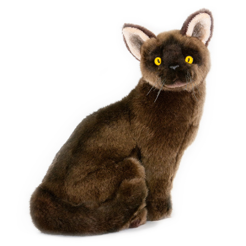 Bocchetta - Nutmeg Burmese Cat Plush Toy 24cm