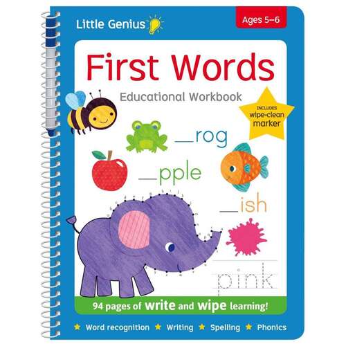 buy-lake-press-little-genius-giant-flash-cards-phonics