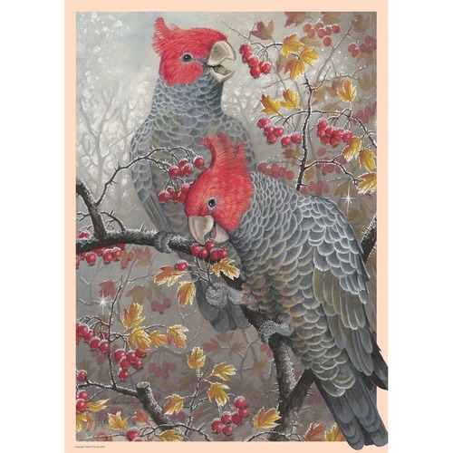 Brolly Books - Gang-Gang Cockatoos Puzzle 1000pc