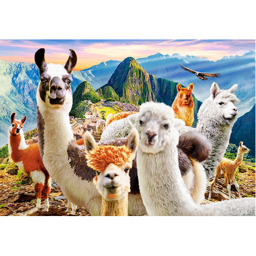 Castorland - Llamas Selfie Puzzle 1000pc