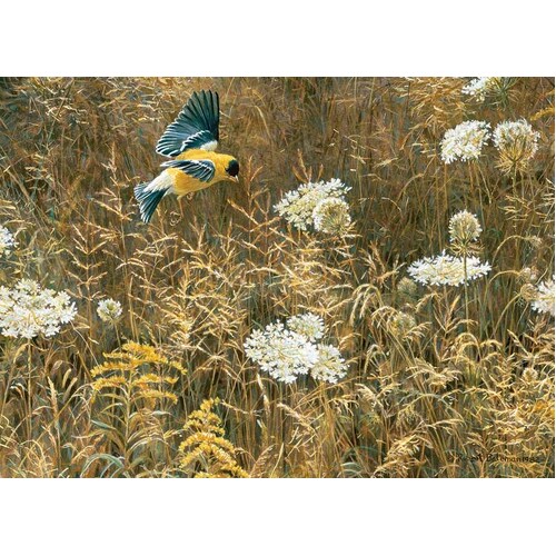 Cobble Hill - Queen Anne's Lace & Goldfinch Puzzle 500pc