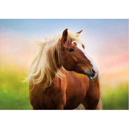 Educa - Horse At Sunrise Puzzle 500pc