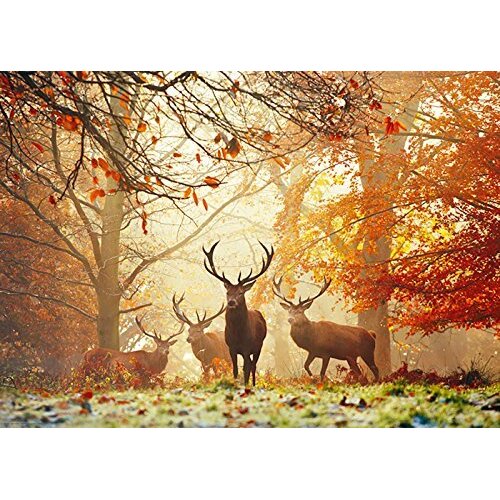 Heye - Magic Forest Stags Puzzle 1000pc