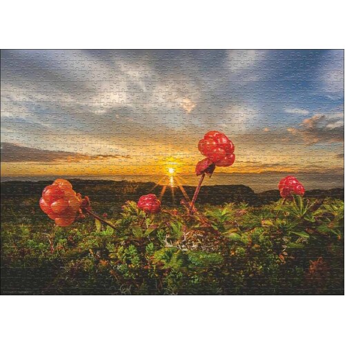 Heye - Von Humboldt, Cloudberries Puzzle 1000pc