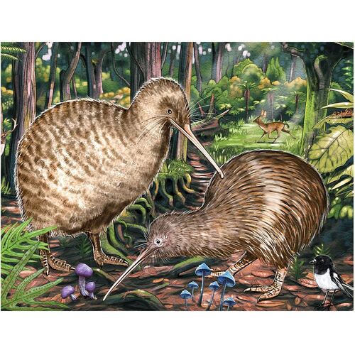 Holdson - Treasures of Aoteroa - Keep Kiwi Wild Large Piece Puzzle 300pc