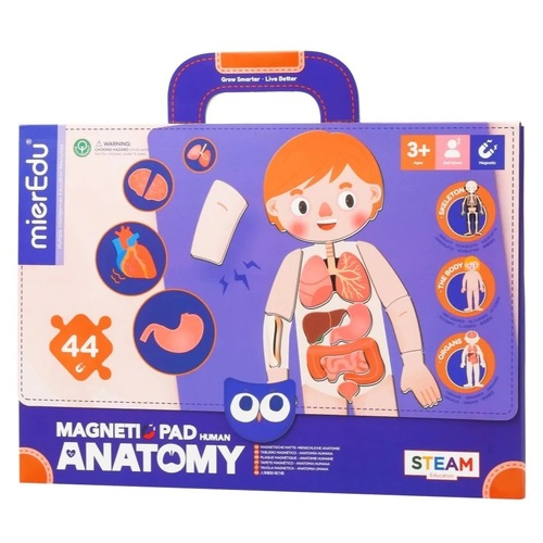 mierEdu - Magnetic Pad - Human Anatomy