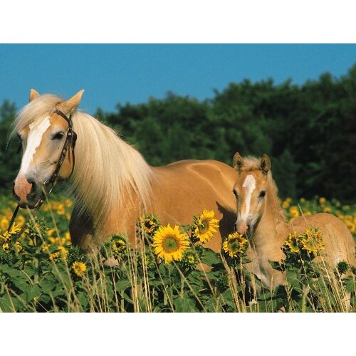 Ravensburger - Happy Horses Puzzle 200pc