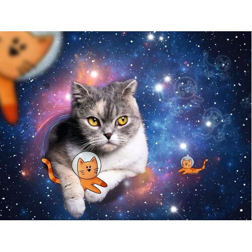 Ravensburger - Cats in Space Puzzle 1500pc